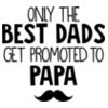 Only the Best Dads Get Promote To Papa SVG